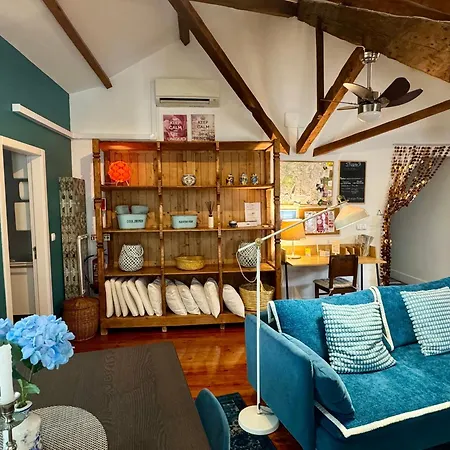 Studios With Mezzanine Rua Da Moeda Daire