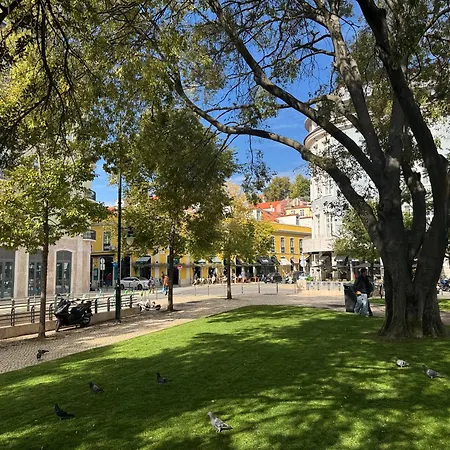 With Mezzanine Rua Da Moeda דירה ליסבון